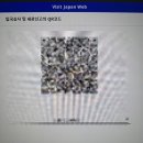 평화대성약국 | 끝내주는 피자 한 판