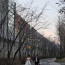 31140-14-37-48 | [W14] 서울웨딩스냅 가성비 스튜디오 웨딩촬영 후기 드레스 소품 정장 하다갤러리 서울