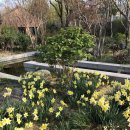 배진우 피아노 리사이틀 이미지