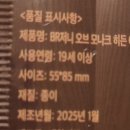 배스킨라빈스 10mini 콘 후기 [배스킨라빈스 무안남악점, 저니오브모나크 무료 쿠폰]