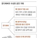 문재인 딸 문다혜, 이번엔 청와대 경호원과 돈거래 정황 포착 이미지