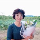 제석농장 이미지