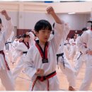 한뜰태권도 이미지