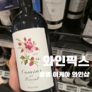 <단기특강 비대면>파워인플루언서(블로그&유튜브) | 광명 와인픽스 | 이케아 와인샵, 비밀이야 추천 와인과 가성비 와인 내돈내산 후기