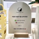 카밍캣 이미지
