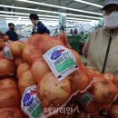 양파 - 구로구 구로동로 163 | 양파