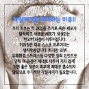 제이부띠 이미지