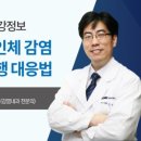 폭스스킨 이미지