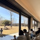 들꽃 | 담양 대형카페 추천, 베이커리까지 완벽했던 후기 | 들꽃숲 | 내돈내산