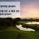 메조스테이 이미지