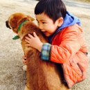 예안농장 이미지