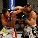 레노메디 이미지