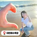 머드농수산체험마을 | 보령 대천해수욕장 텐트 전망대 액티비티 여행지 추천 가볼만한곳