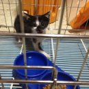 동교마트 이미지