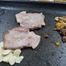 터미날21 이미지