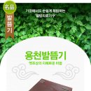오행쑥뜸기 이미지