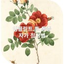 금곡치과의원 네이버블로그