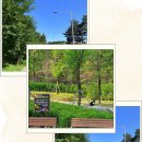 휴플러스 작은도서관 이미지