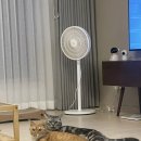 경동타워쇼핑 | 캣츠빌 아쭈타워 내돈내산 추천후기~~ (feat, 가성비캣타워)