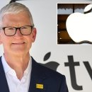 애플 CEO 팀 쿡이 메모리 가격의 '100년 만의 대호황'을 경고한 후 애플 주가가 7% 하락했습니다. 이미지