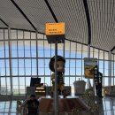 서울발 | 베이징 다싱국제공항 이용 꿀팁: 홀리랜드 수건케이크, 팝마트 쇼핑 후기