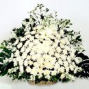 하남대로545번길 이미지