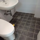 금빛크린 이미지