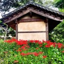 신지생태공원 이미지