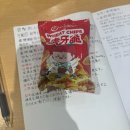 🇯🇵 오사카 교환학생 (25년 5월) | 고베 허브가든 | 교토 기요미즈데라 | 선거날 국외부재자 투표...