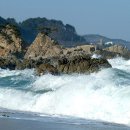 바다가그리울때 이미지