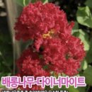 해보농장 이미지