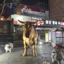 범안로19길 이미지