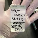 홍성룡 | 밀린 일상 정리하기