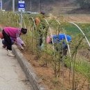 남하면 월곡마을 경남도민신문