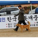 비상초등학교 이미지
