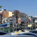 푸댕 | 대 전 ✨🧡