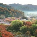 비밀의정원 이미지