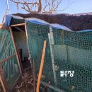 텃밭약국 네이버블로그