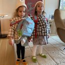 메디셀린 이미지