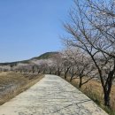 성북2리경로당 네이버블로그