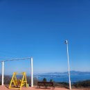 기원목장 | [남해가볼만한곳추천] 10개월 아기랑 행운의 백사슴 만난 날! '남해상상양떼목장편백숲' (남해양떼목장)