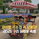 2026 구리 유채꽃 축제 완벽 가이드! 일정 주차 안내부터 아이랑 방문 꿀팁까지 총정리