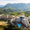 대명리조트 전국 지점(브랜드) 현황!!!! 이미지