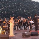 한여름밤의 콘서트 이미지