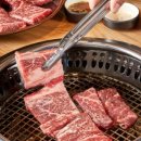 불타는안창살 이미지