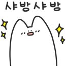 띠네네일모해