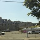 제일동물병원 | 비숑 다복이 베넷미용, 두번째 미용도 다 도그랩에서 받다 [도그랩] / 내돈내산 후기!