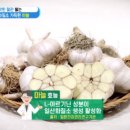 마늘 자주 먹었더니 이런 효과가 이미지