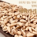 씨 네이버블로그