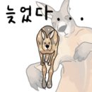 명동빈대떡 - 수원시 장안구 창훈로60번길 28-15 | 명동빈대떡